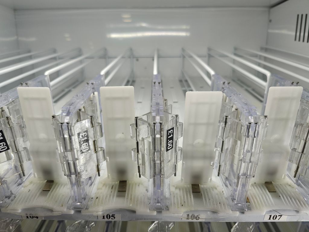 Sharp Scratch: 1. The&nbsp;Beginning